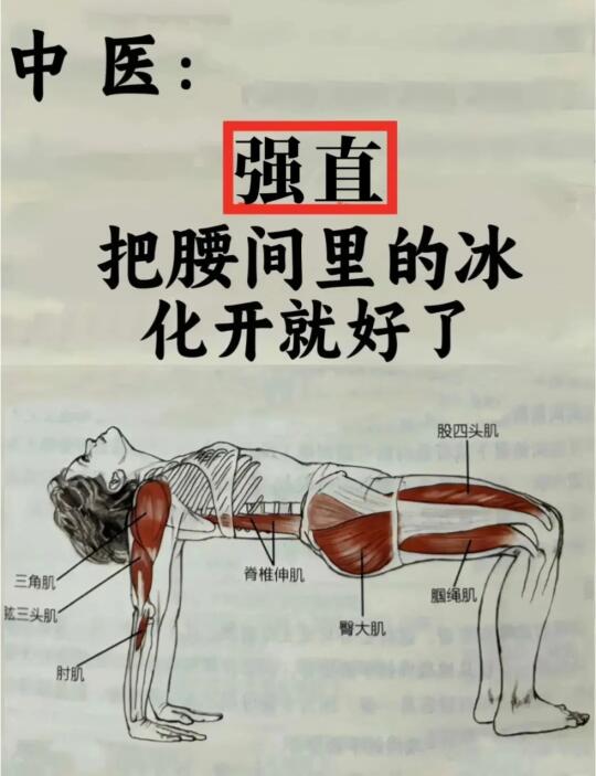 强直性脊柱炎是受了特别严重的阴寒，入到骨髓了，伤到元气、督脉了。 人的...