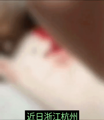 这是我见过最可怕的女人，近日浙江一女子手拿手术刀一点点割小猫的肉，该女子一边嘲笑