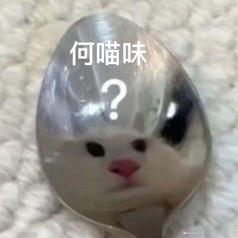 我躺着看手机！某哥让我干件事～我不想起来“你还想不想喝奶啤”我腾的一下爬起来“想