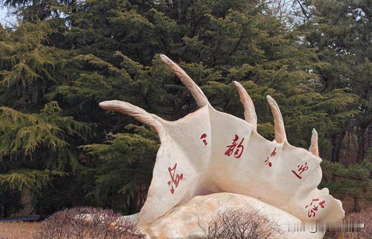 没来海之韵前，满脑子都是网上攻略里悬崖临海的绝美画面，满心期待；真来了之后，只想