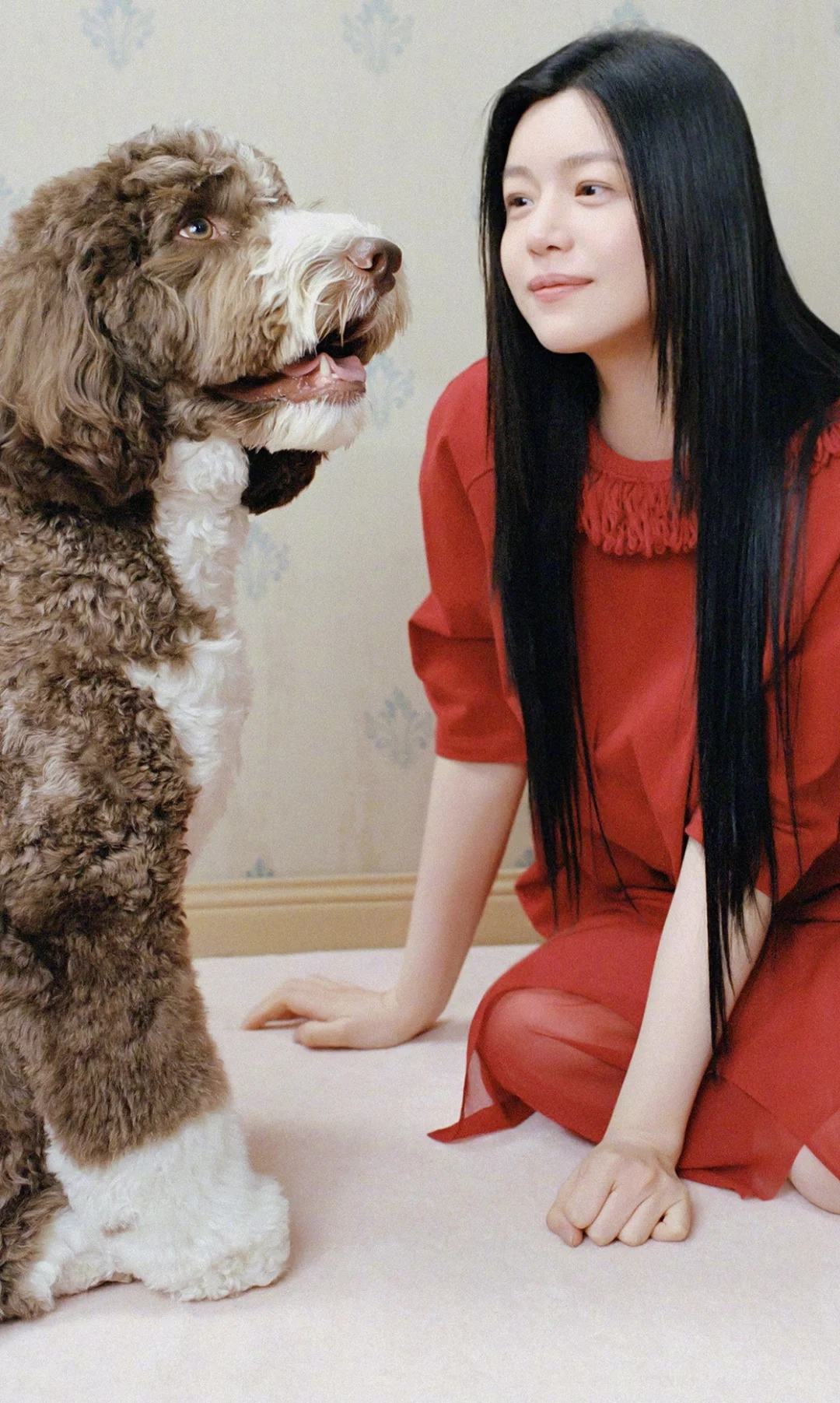 红衣服和黑长直真的很衬她陈妍希