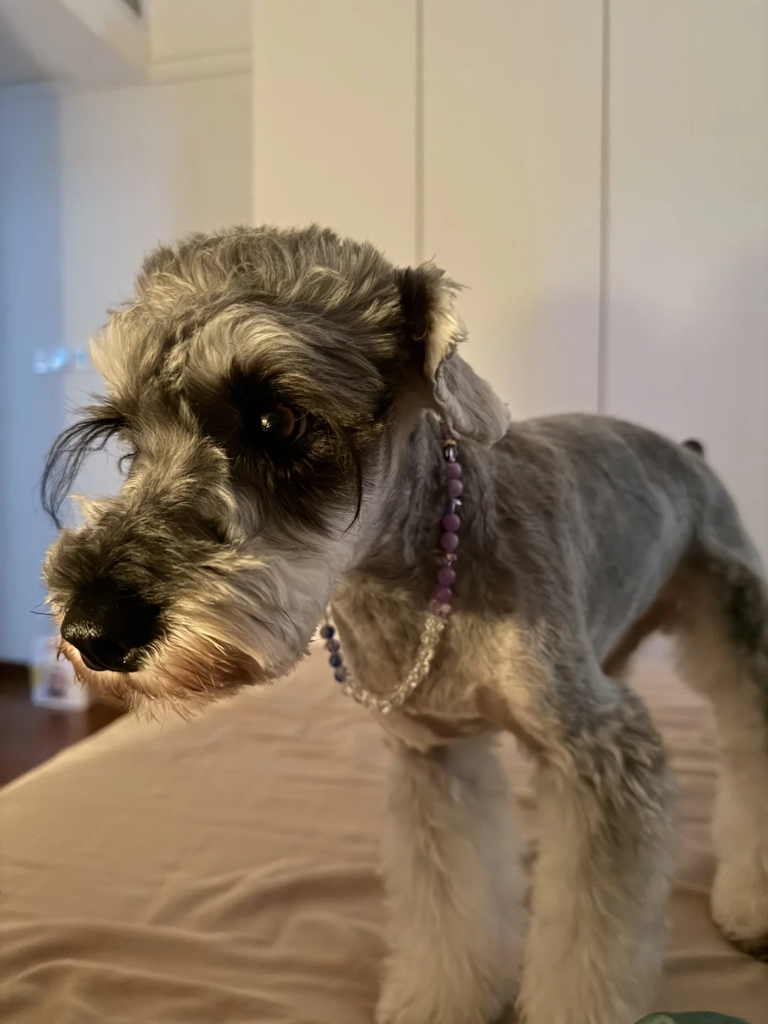 今天我富贵了吗