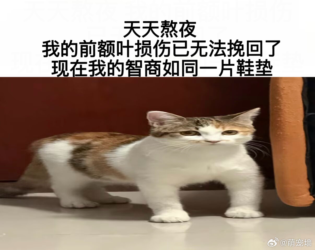 好好笑 
