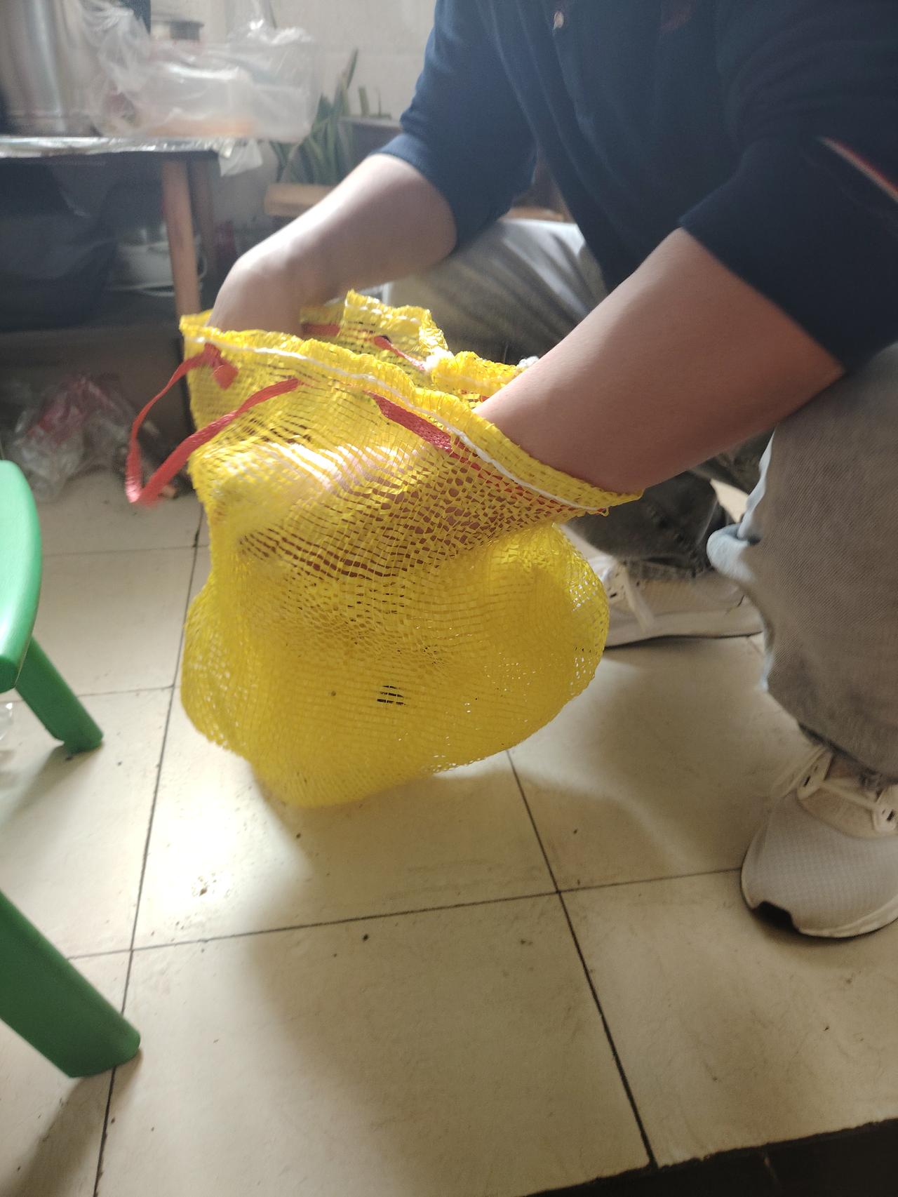 从市场上五十块钱买来二只小白鸽，打算给骨折的儿媳妇补身体，听说吃后伤口不发痒，俗