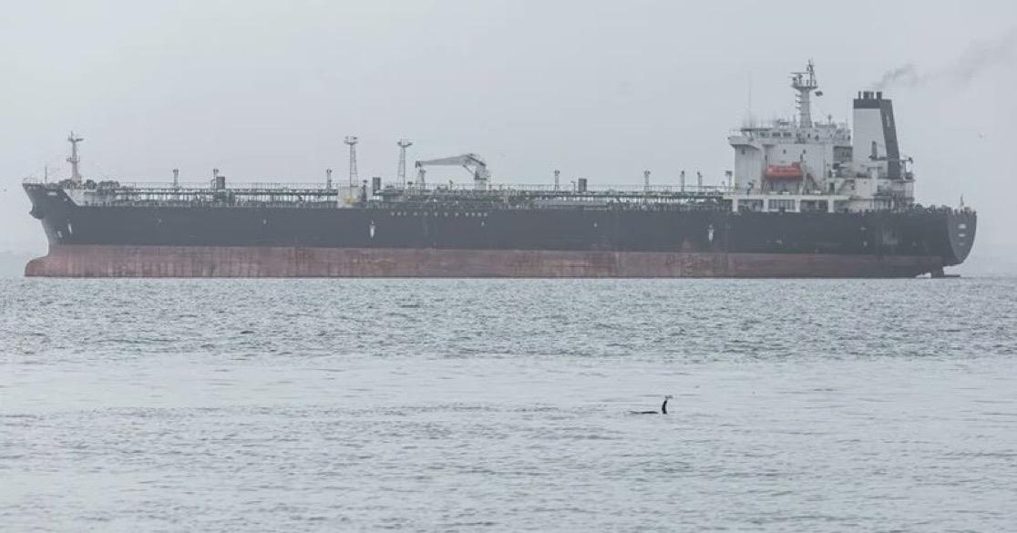 据《纽约时报》报道，美国中央情报局上周对委内瑞拉的一个港口设施发动了无人机袭击，