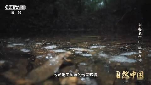 武侠小说的瘴气竟真实存在瘴气成分被测出来了 原来武侠里的瘴气不是传说！云南哀牢山