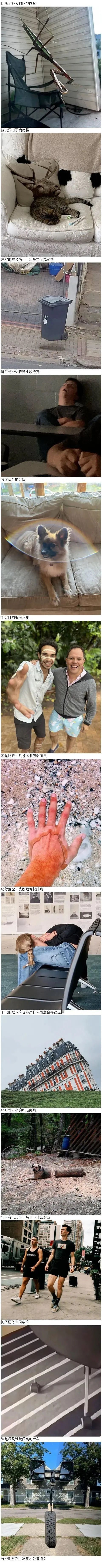 有些图需要反复看才能看得懂 ​​​