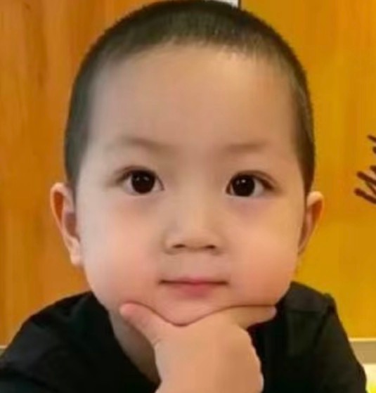 狗儿走前能否与老花一起为我诞下一双人直播网页链接