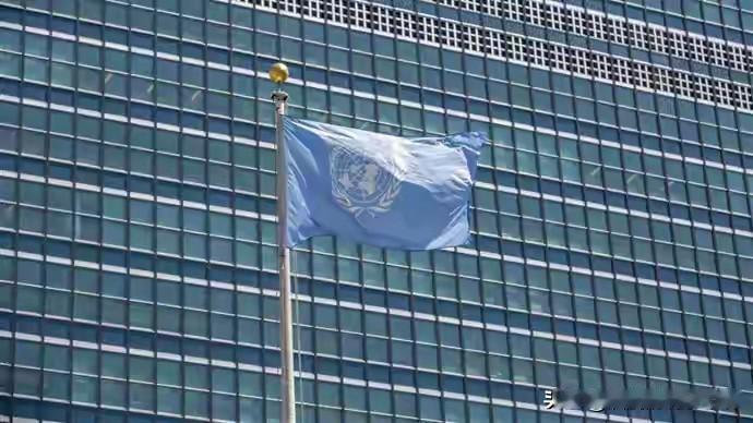 站在俄美对面，中国投下弃权票！其实新叙利亚政府领导者艾哈迈德·沙拉 。本身就是一