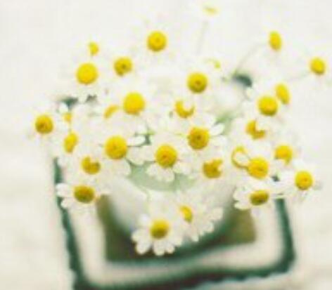 7秒内转赞，十二星座领取本月好运！白羊座：大吉大利金牛座：意外之喜双子座：天降好