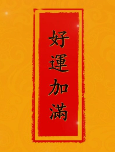 会星座的兔子 转发领取好运，许愿许愿，新的一周万事顺遂，所有烦恼、棘手的事情都会