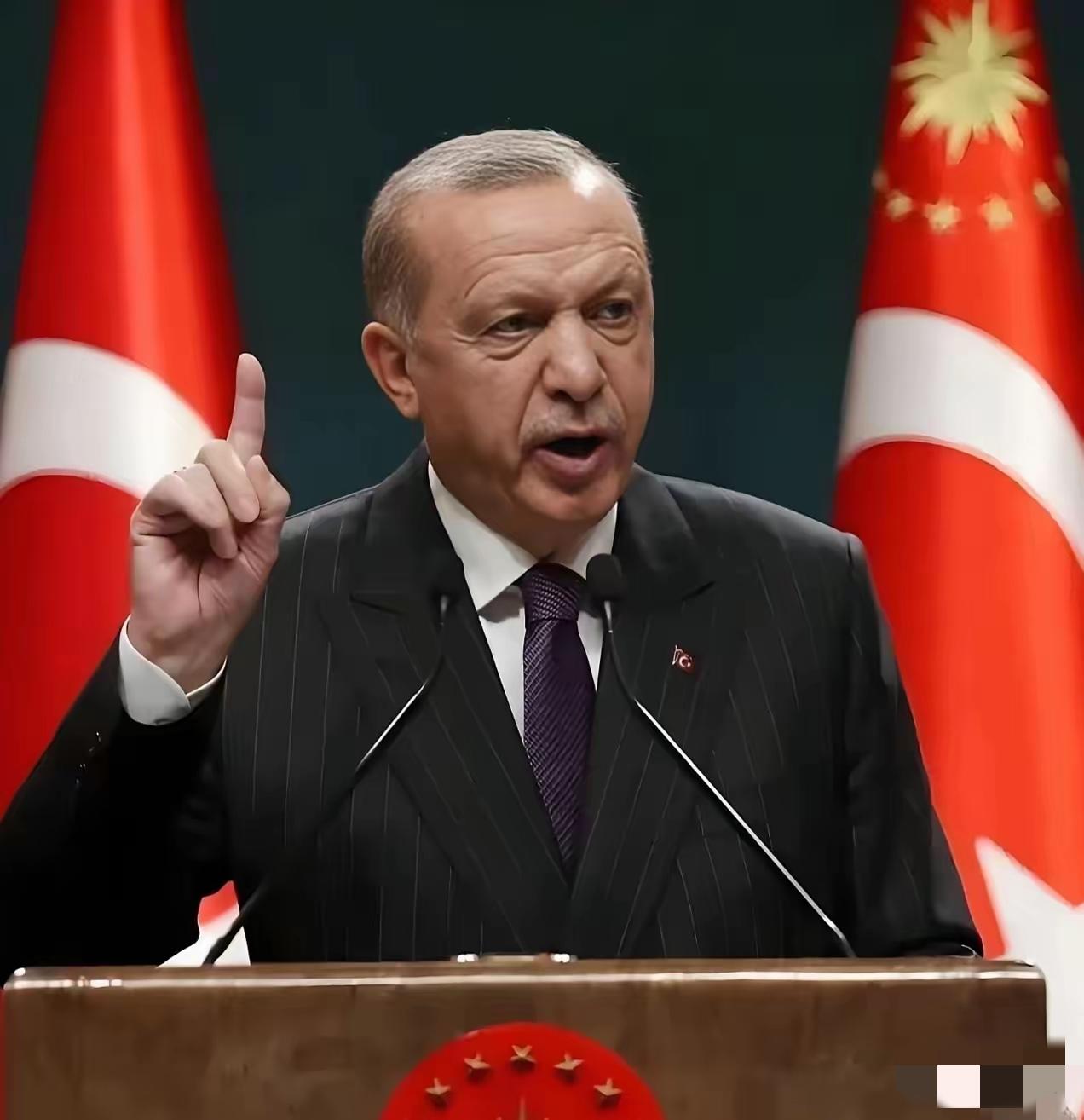 中国和土耳其谈话了
3月25日，土耳其终于等不了了，一通电话打到了中国，土耳其外