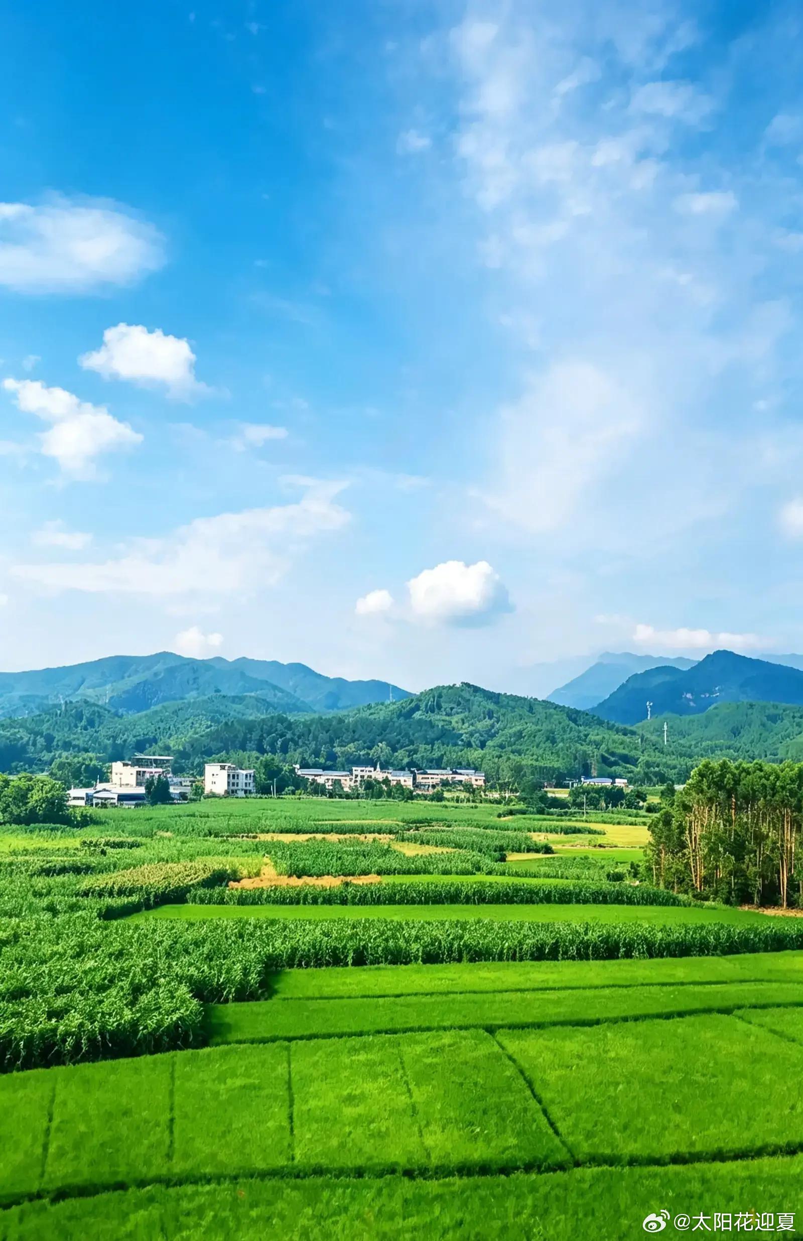 乡野田园，也是心底的诗与远方～ ​​​