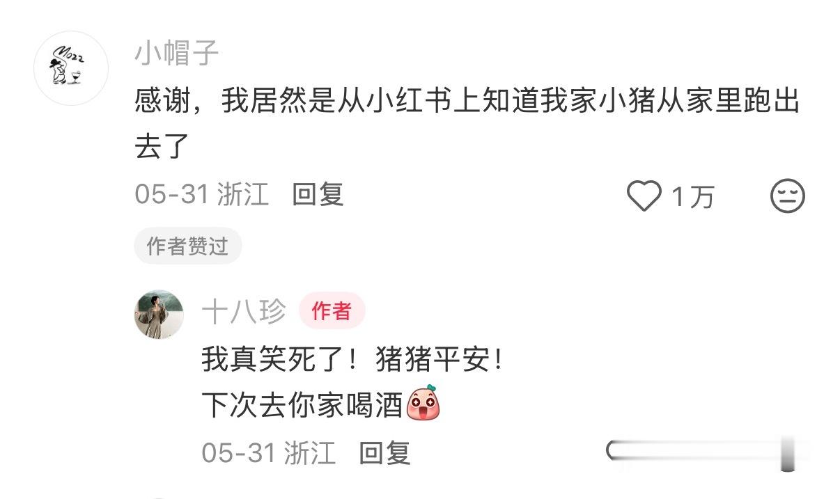 路人偶遇猪猪散步，结果评论区都遇到过。 
