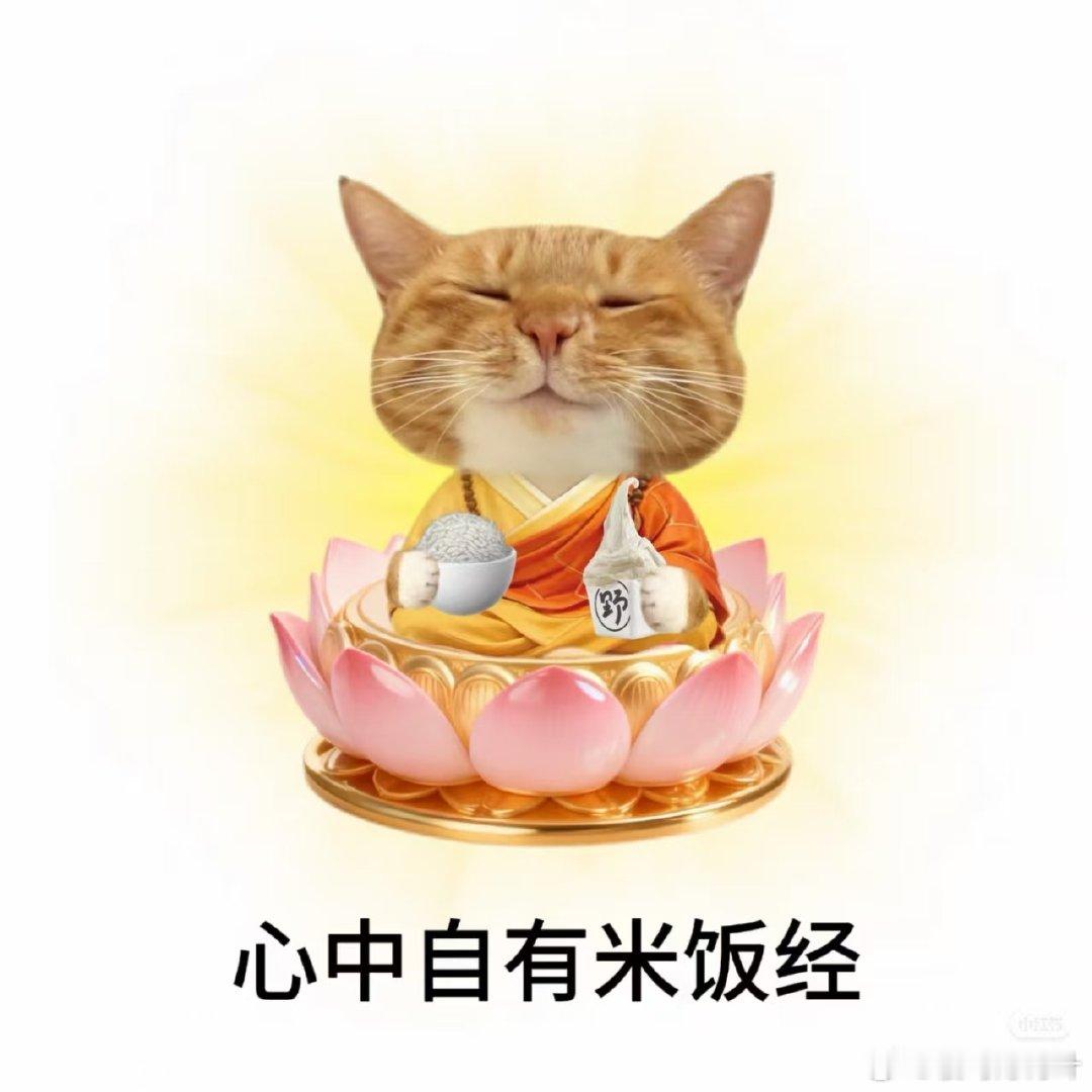 上海连沙拉都有身份证上海多款有机沙拉配备专属溯源身份信息，消费者扫码即可查看食材