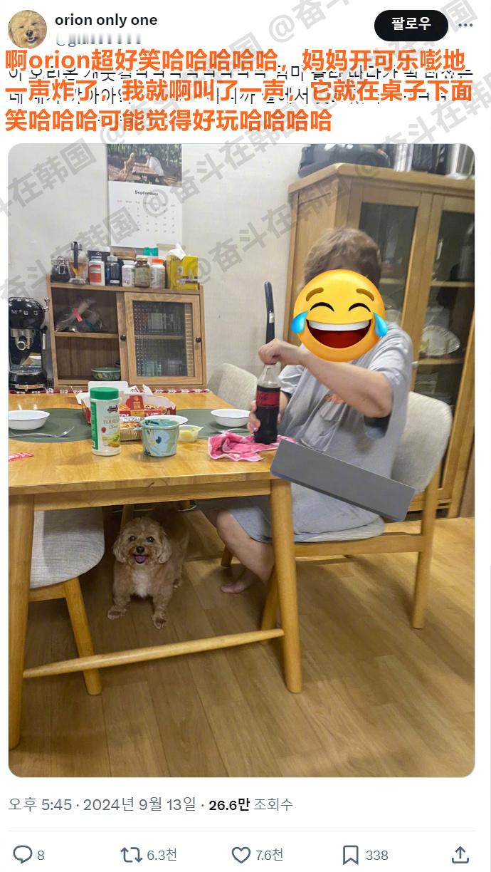 看着主人嘎嘎乐，自己也跟着乐的小狗~海外新鲜事 热点现场