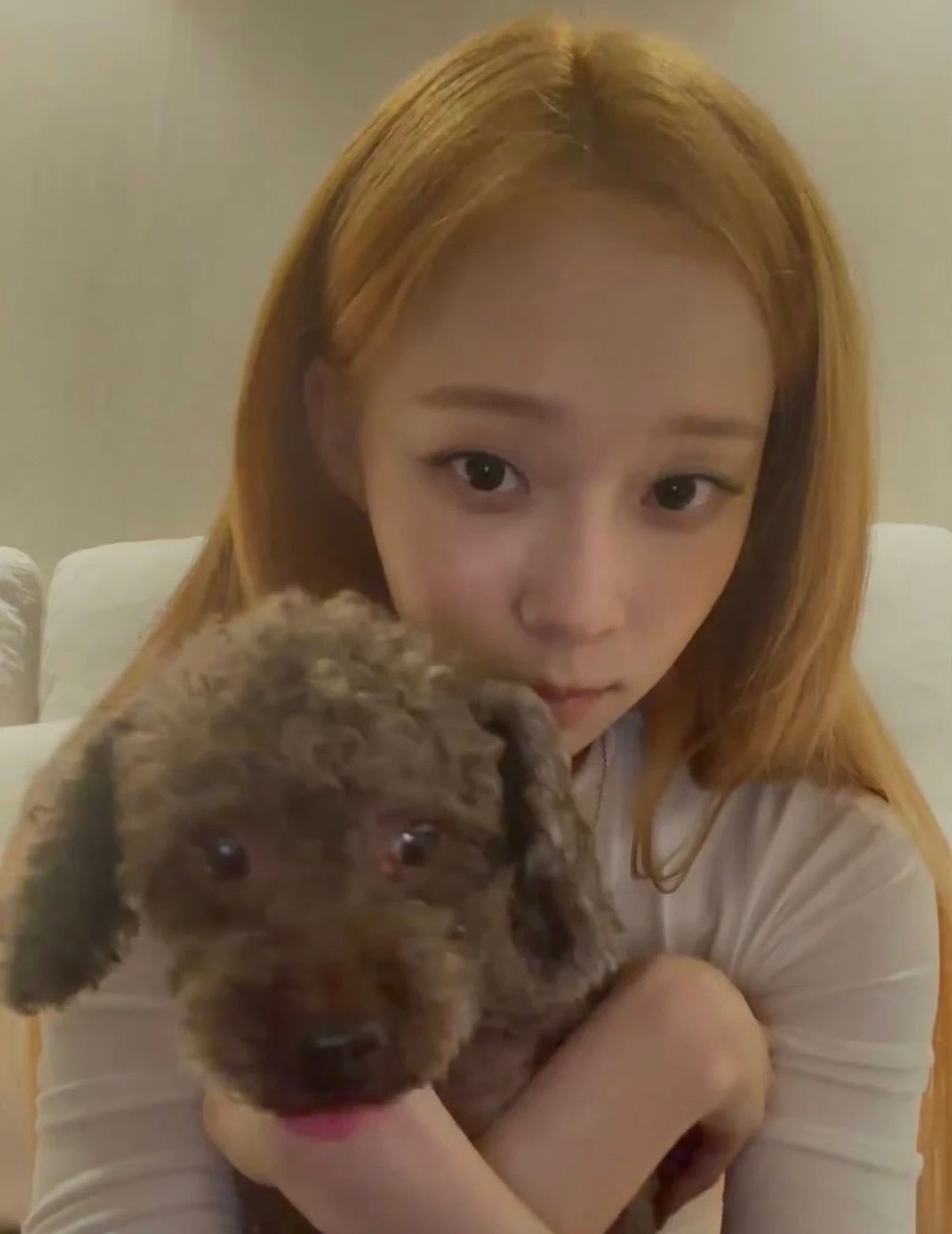 盘点那些人狗同相🐶🐶 