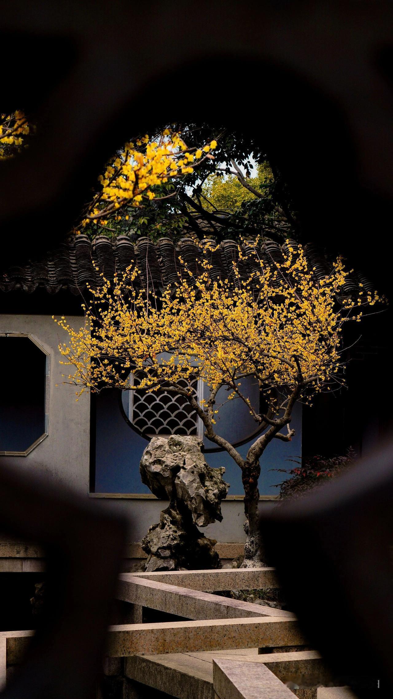 活得通透的人 ，没有特别想维持的关系 ，也没有特别想要的东西 ，走近的人不抗拒 