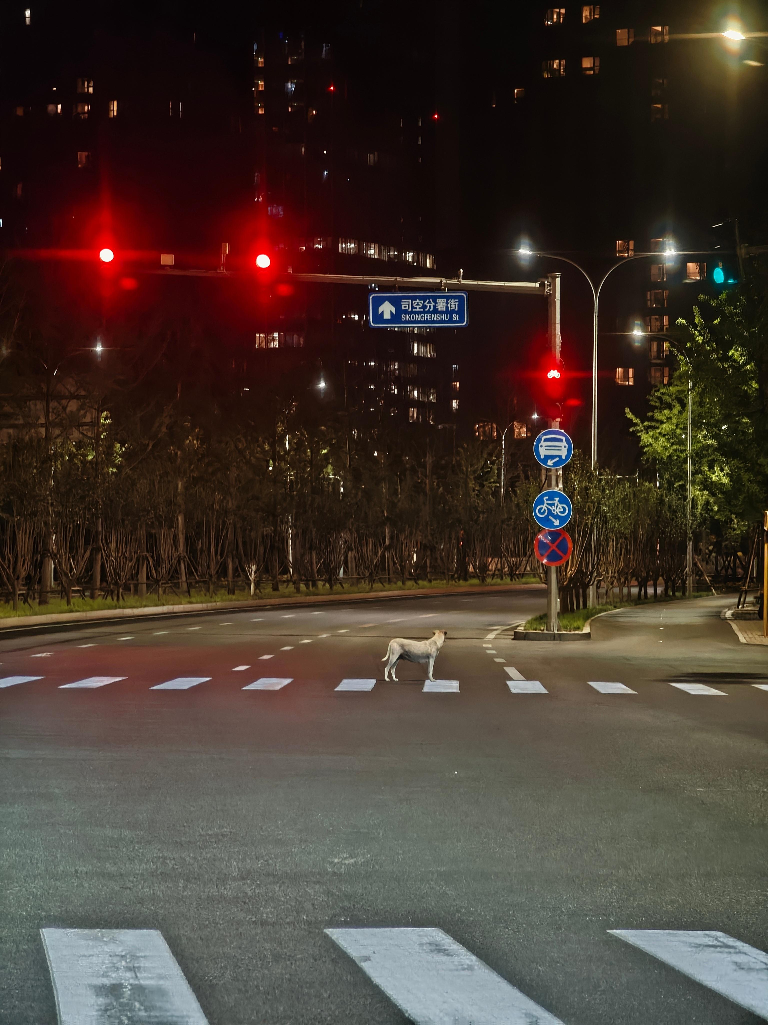 午夜阿狗： ​​​