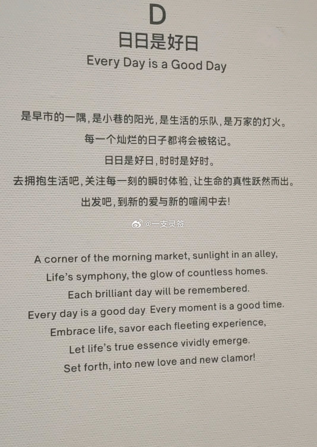 生命力是你感受到每天都是好天气 