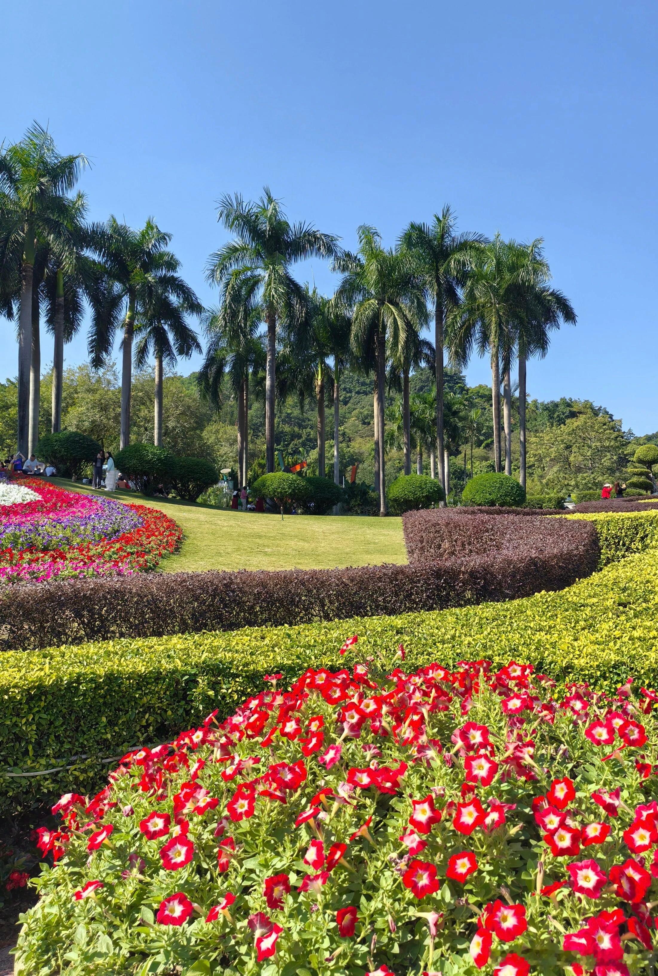 2026年如果想把企业做好，做好股权激励是必要的总有人问我怎样做好股权激励？六大