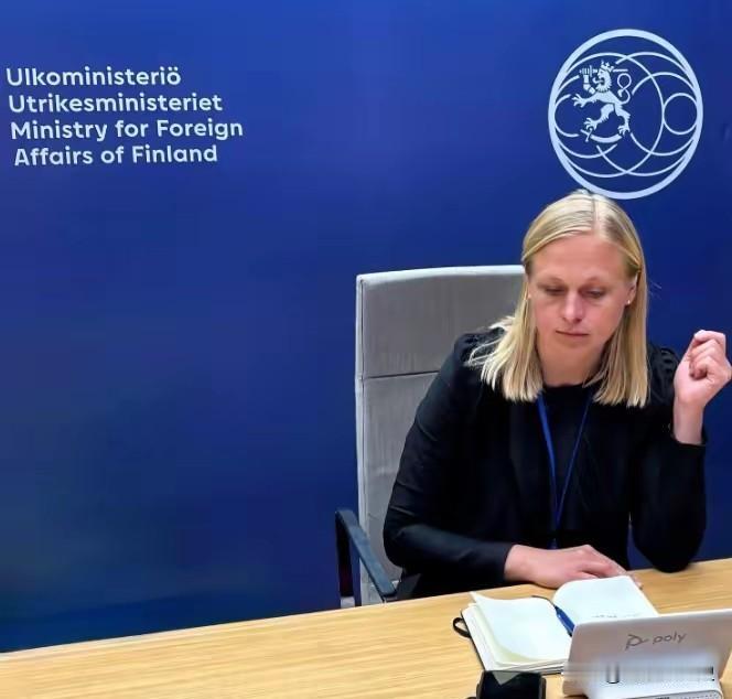 芬兰深夜主动找到中国！北京时间1月6日晚，王毅外长应约和芬兰外长瓦尔托宁通电话。