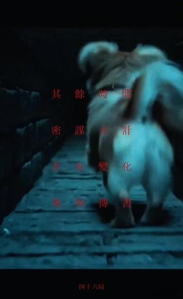 曾舜晞八月行程图全是狗 简直就是太有意思了吧，居然看到了曾舜晞八月行程图全是狗，