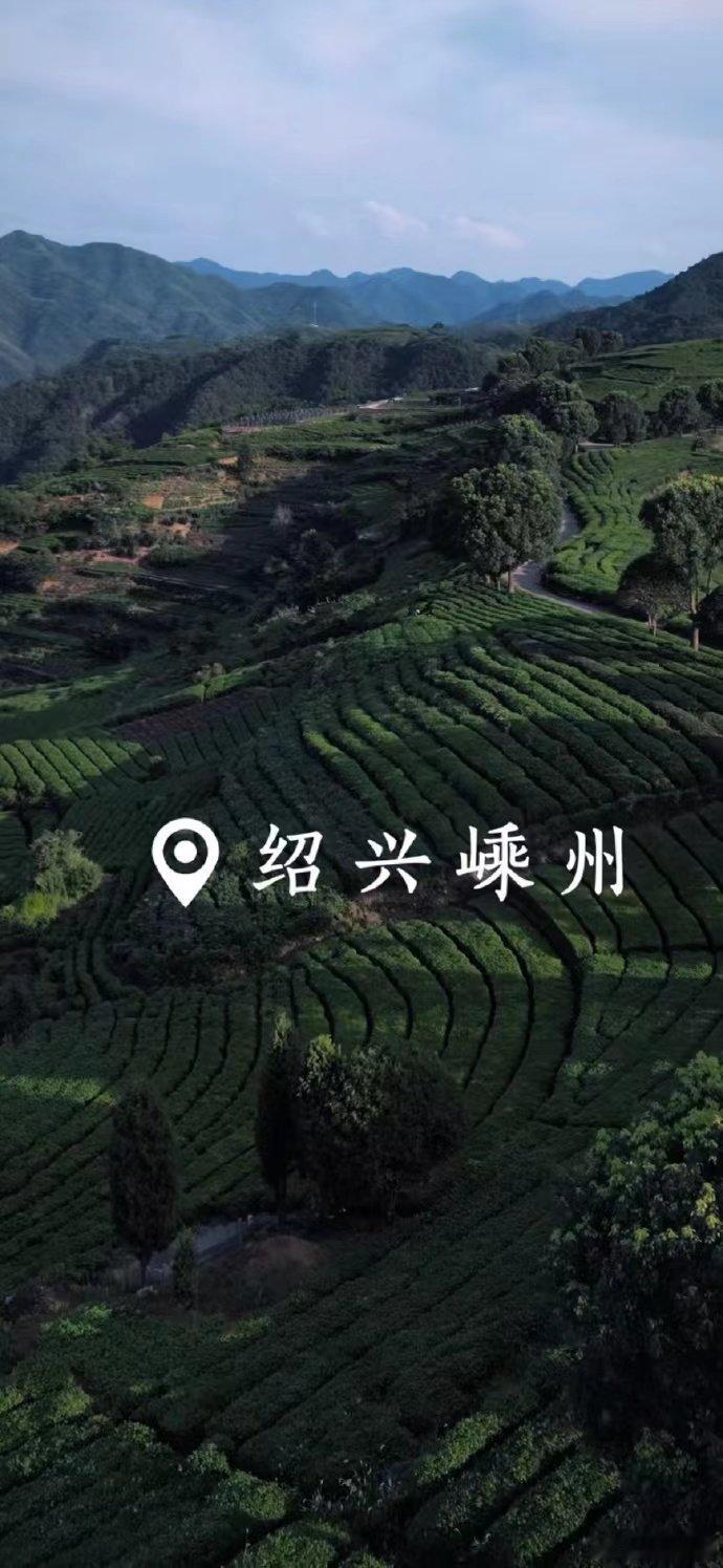 #古茗直播好抢吗#古茗可是我最喜欢喝的奶茶啦，这次的直播间也是非常的好了，超多福