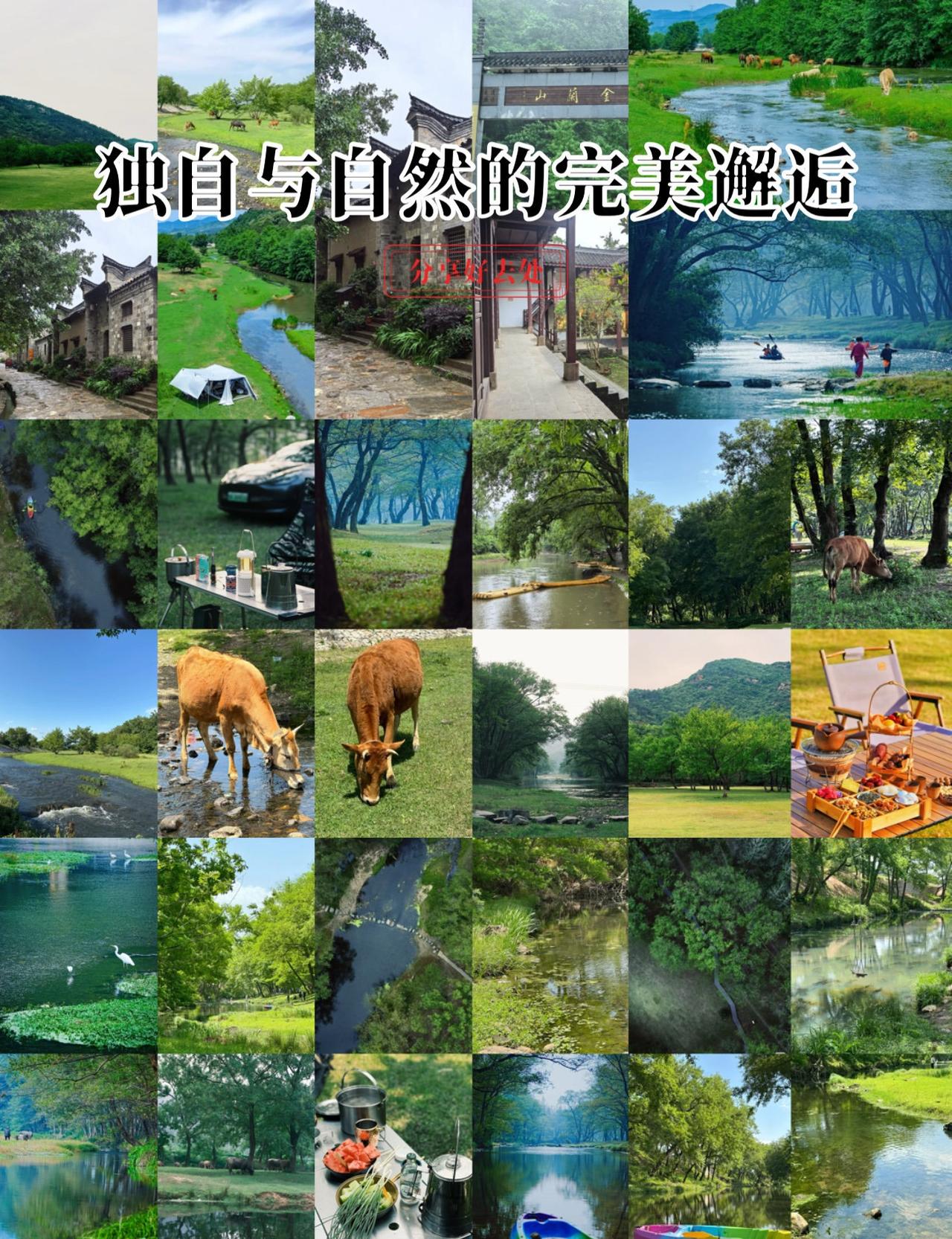 🌲武汉以北2h，遇见了现实版“暮光森林”
📍北京 郭家河湿地公园
自驾游宝藏