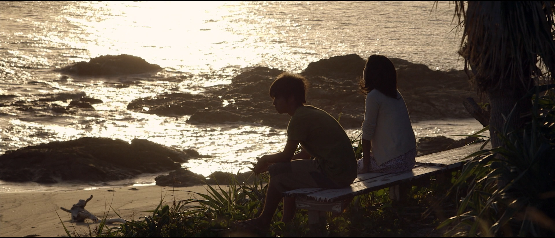 要应付当前的困难，就不能对生活有奢侈的欲望。｜安妮·埃尔诺 