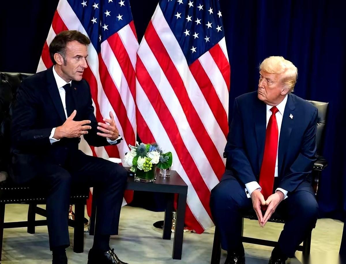 10个亿，买一个“世界和平”的永久席位。
听着跟健身房卖卡的套路，一模一样。
“