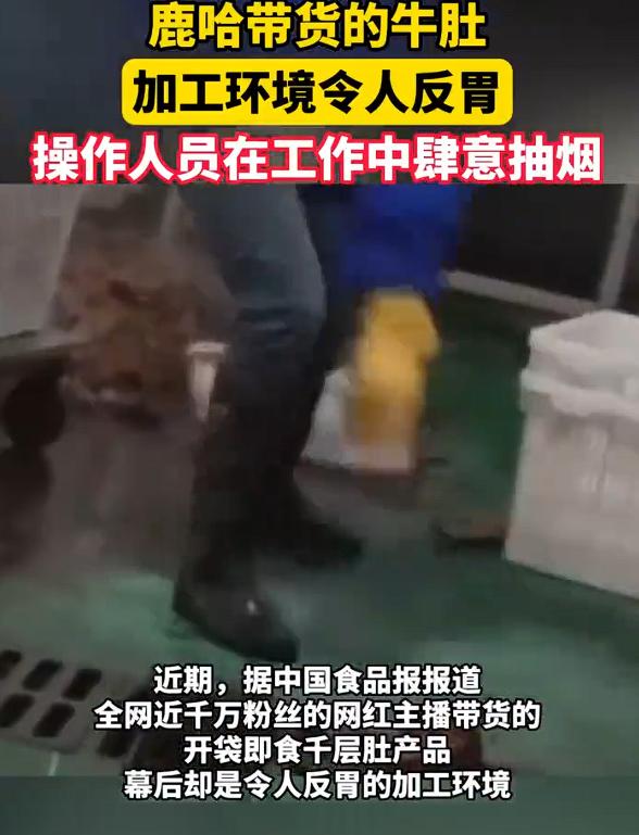 鹿哈曾自曝带货7个月赚了3500万，结果，他带货的毛肚生产厂家出事儿，不但生产环