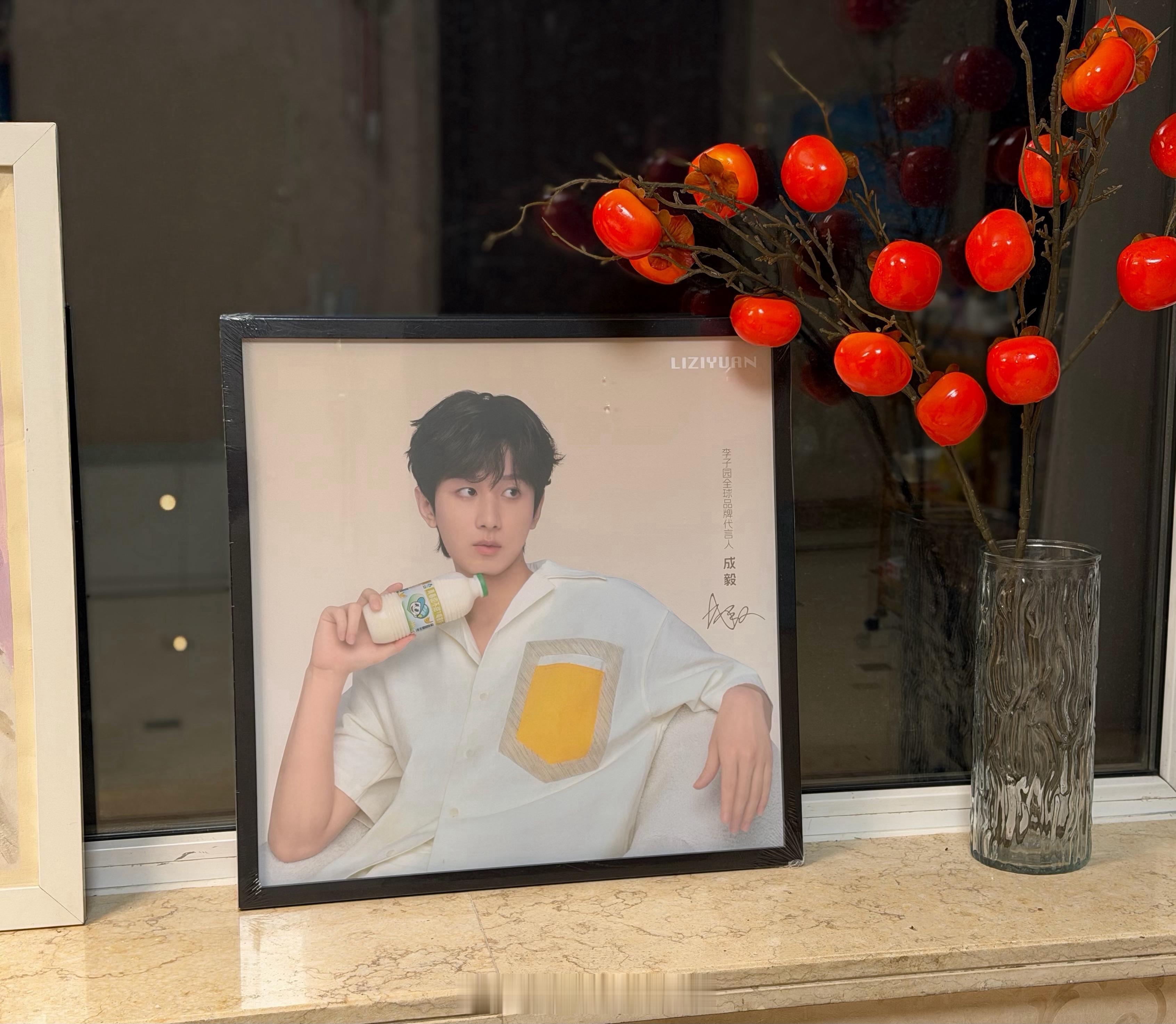 给ee配了两串杮子，成毅成毅，杮杮如意