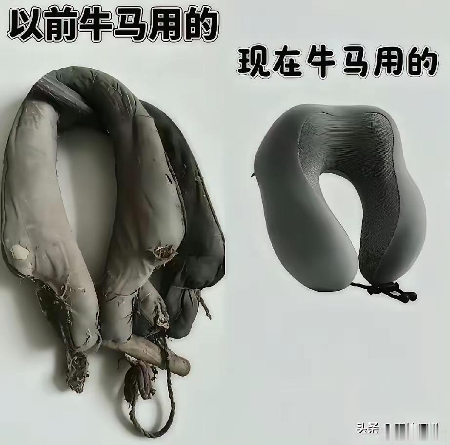 古代的牛马，和今天的牛马，没啥区别。