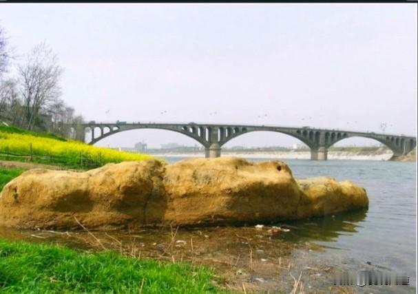 办公室有个年轻同事发牢骚说：
上个破班，经常开会，
还是学生放学后，
占用老师的