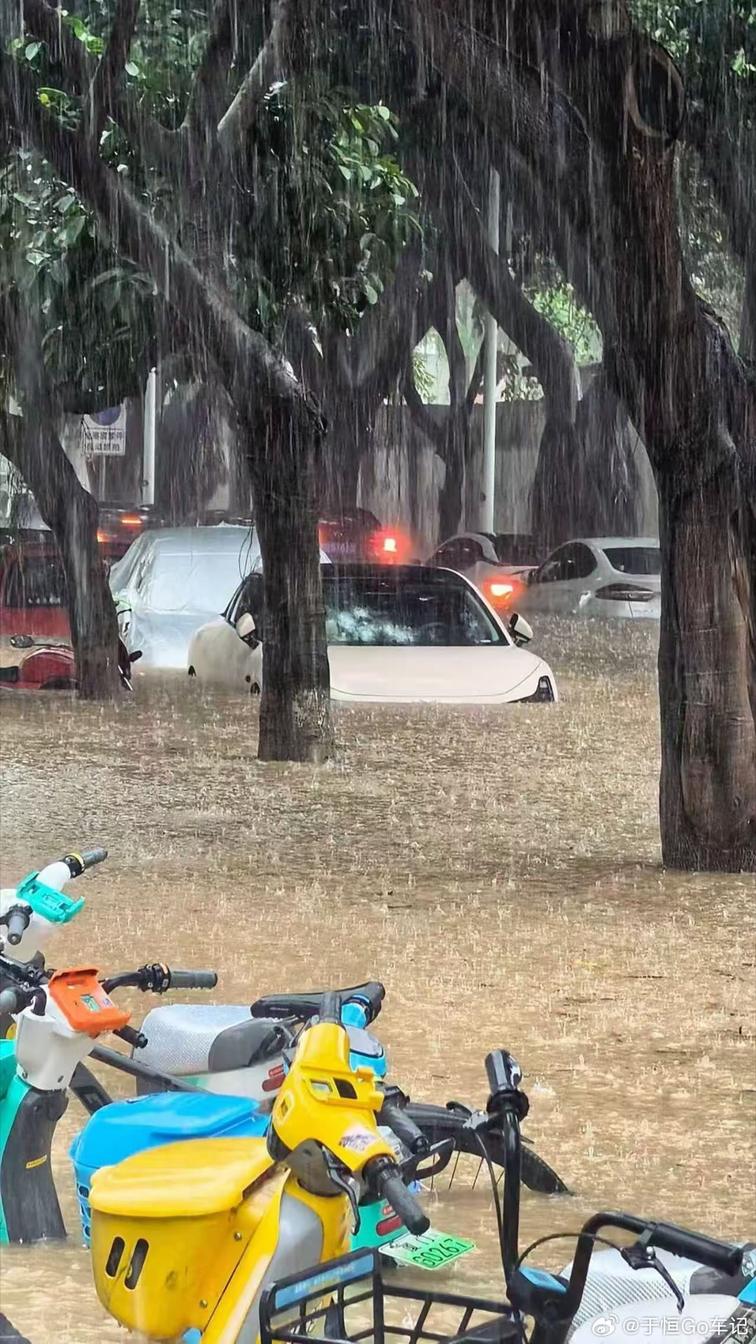 今天这雨，又得出一堆泡水车了 