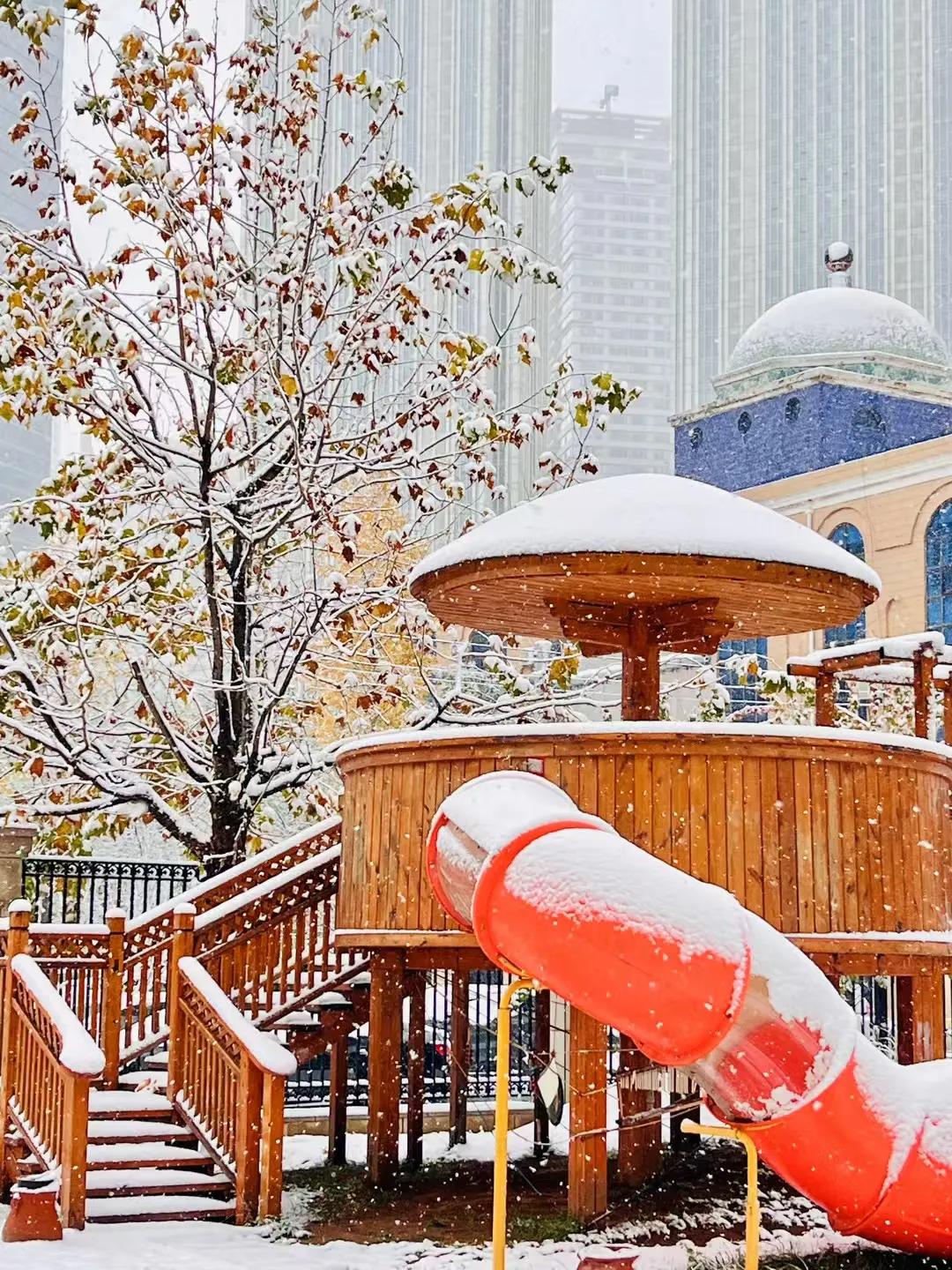 用Yaya的话说，今天是甲辰龙年的第一场雪[祝福]一整天在室内活动的我，一张照片
