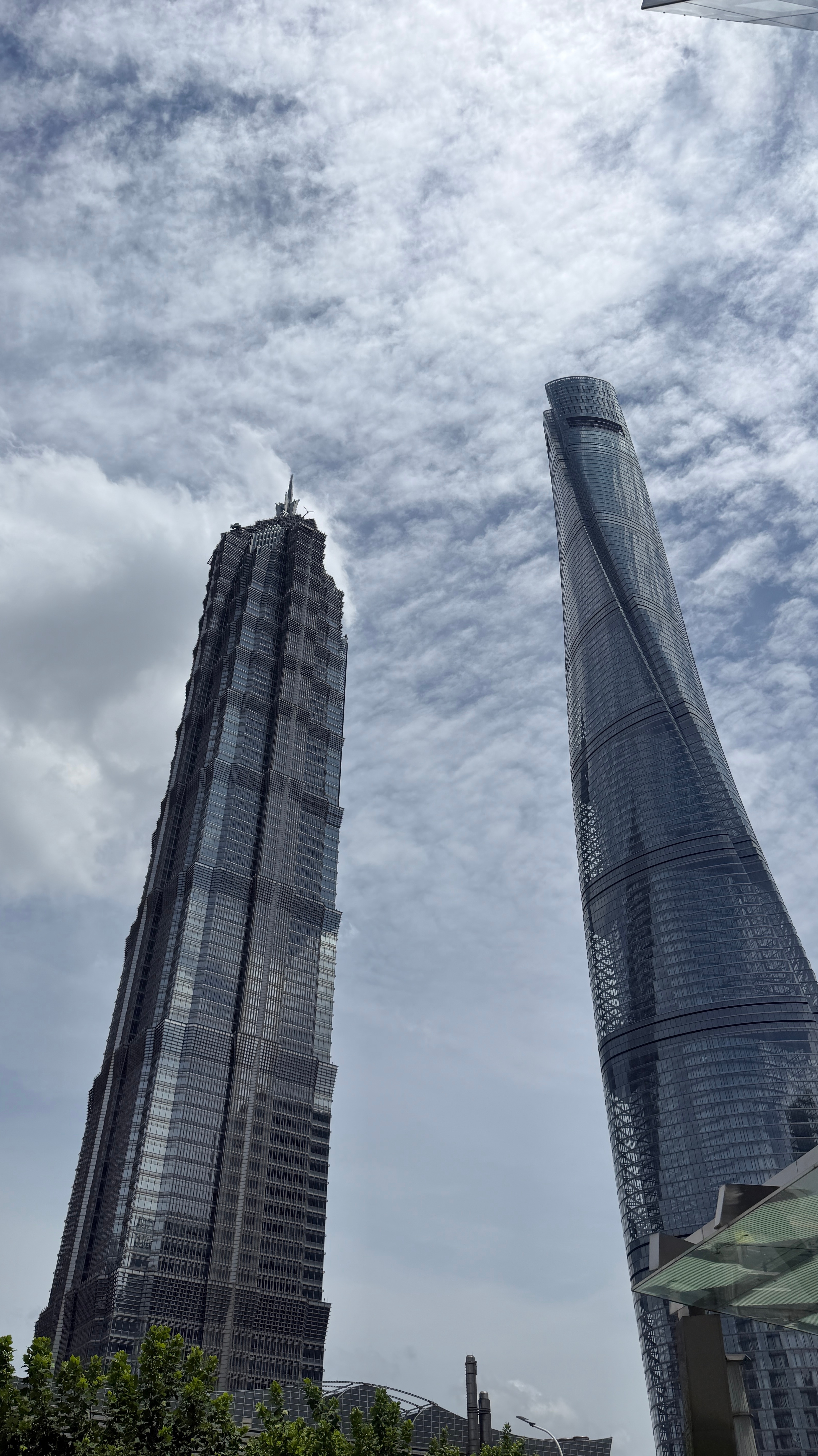 五年来，我的第一次游泳🏊 上海·上海国金中心IFC