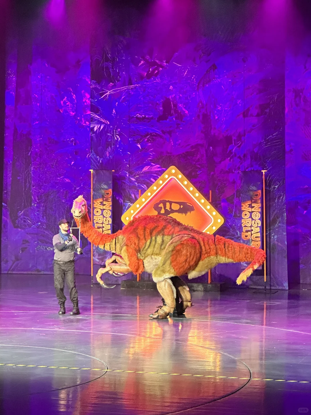 小友遛遛图鉴｜超沉浸❗️一秒穿越🦖侏罗纪🦕