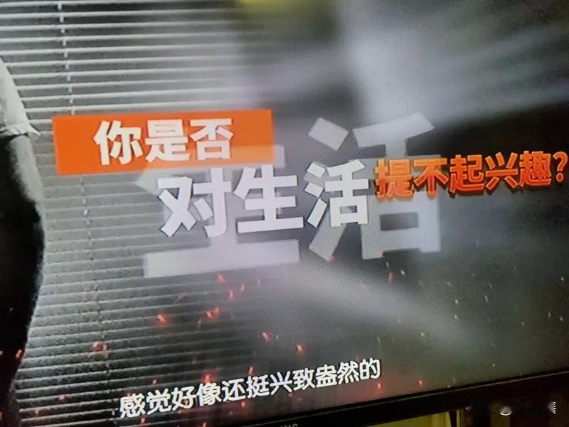 最理想的社会，不是人人都想往上爬，而是每个阶层都能活得安心

你有没有发现，身边