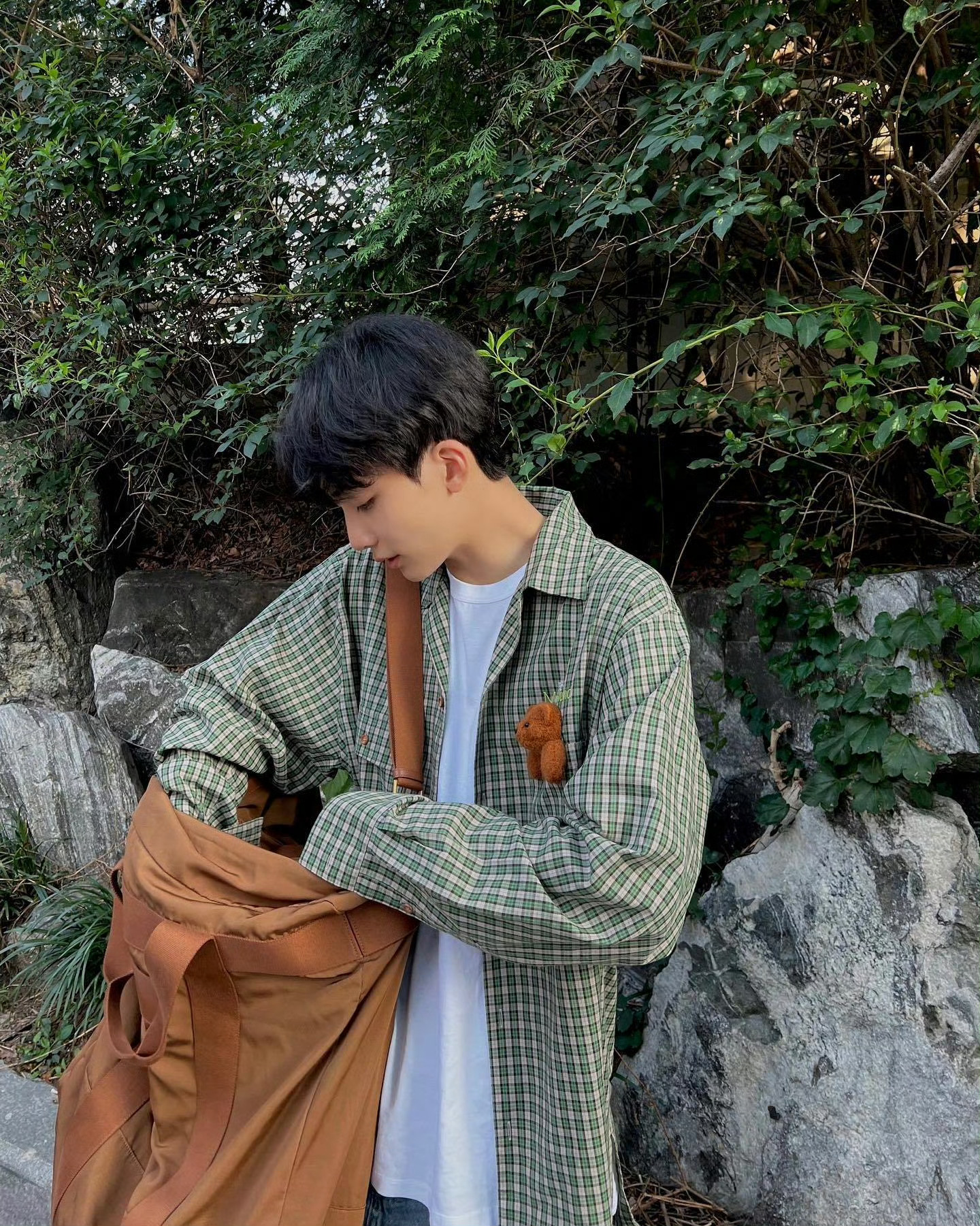 🍃绿色系 