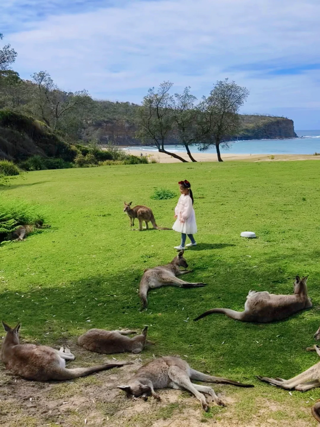 澳洲才是真正的此生必驾🚗超精华路线全攻略