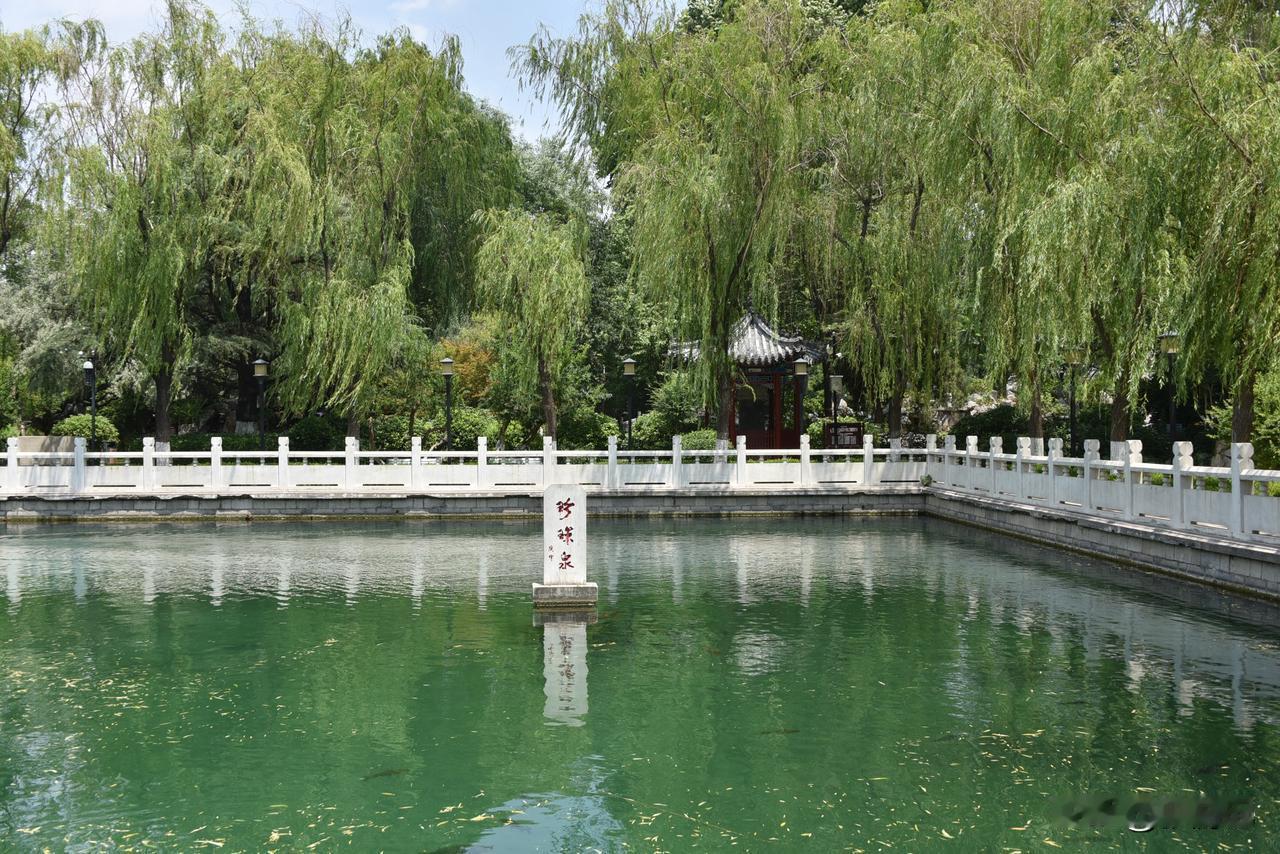 【藏在省人大大院里的济南名泉】
泉眼密布，百泉争涌，在济南可不是一句夸张的说辞，