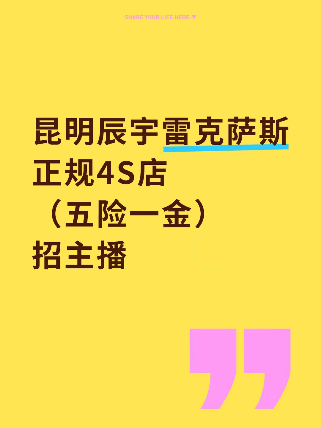 招主播 快联系我！