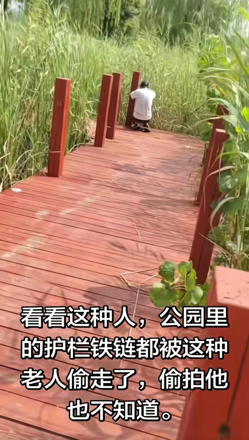 7月26日，河南一处公园内，一名老人动手拆卸护栏上的铁链，全程专注于手上动作，完