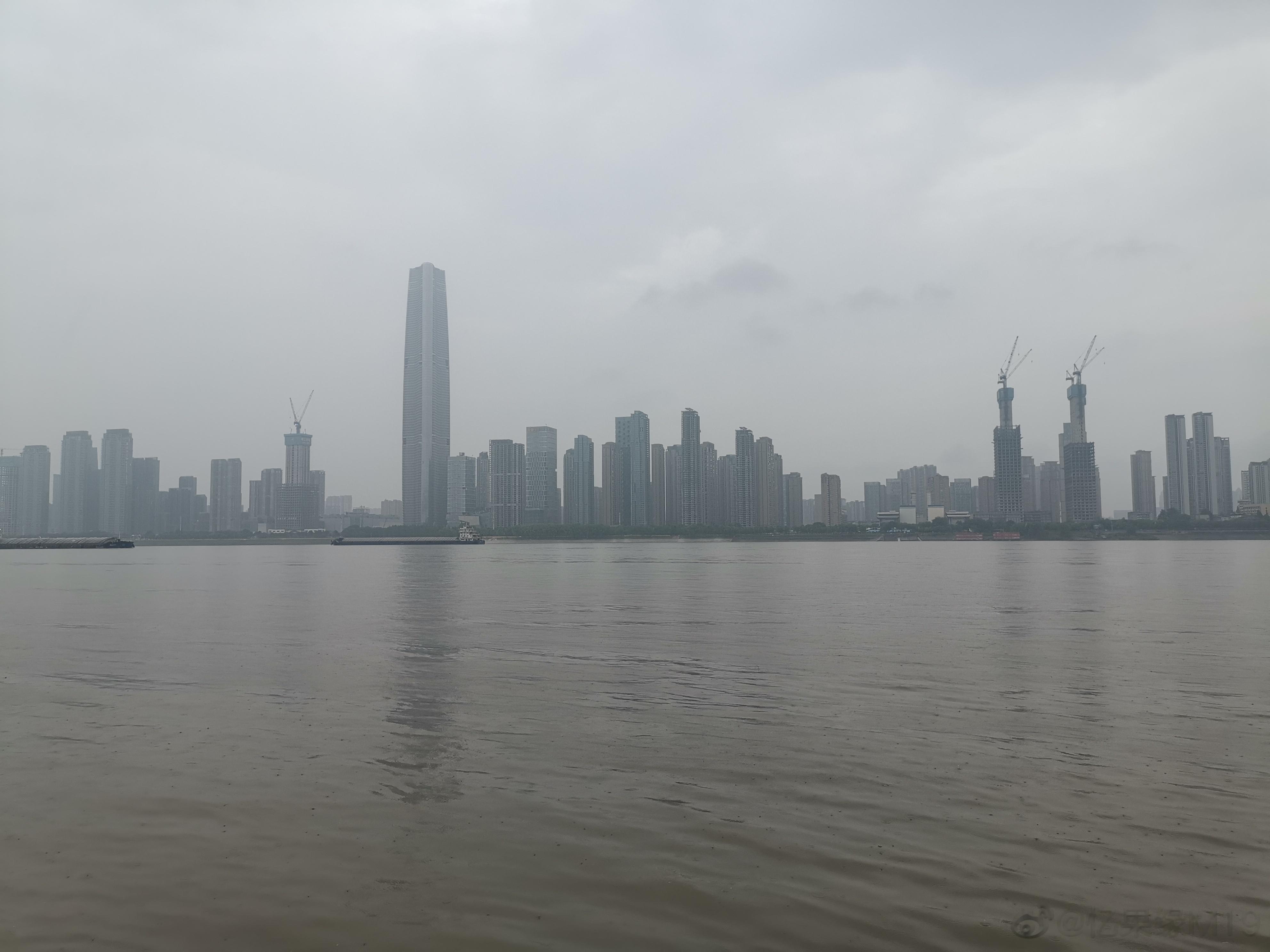 稳稳掉秤的秘籍，不节食也能瘦！​​一、痩全身组成：陈皮+荷叶+山楂+柠檬+茯苓+