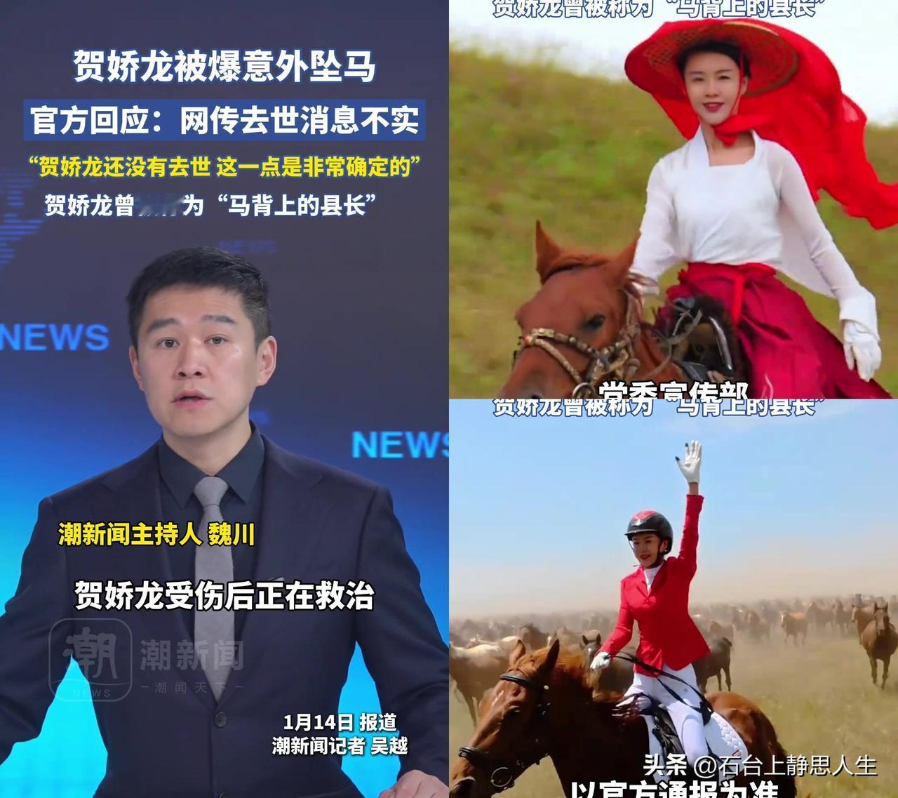 贺娇龙坠马的消息，官方一句“还没有去世”让人心里发慌。

没人没听懂这句话的