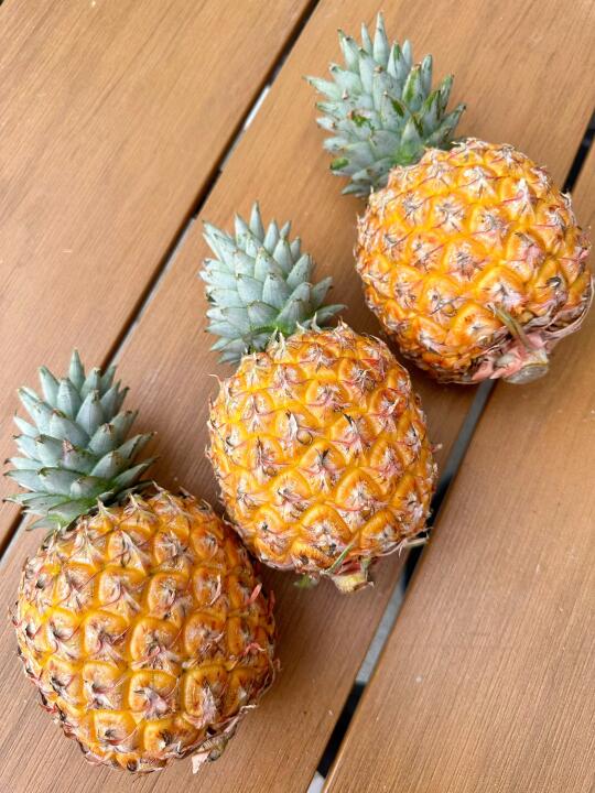 ‼️能劝一个是一个，芒果凤梨别轻易尝试…
