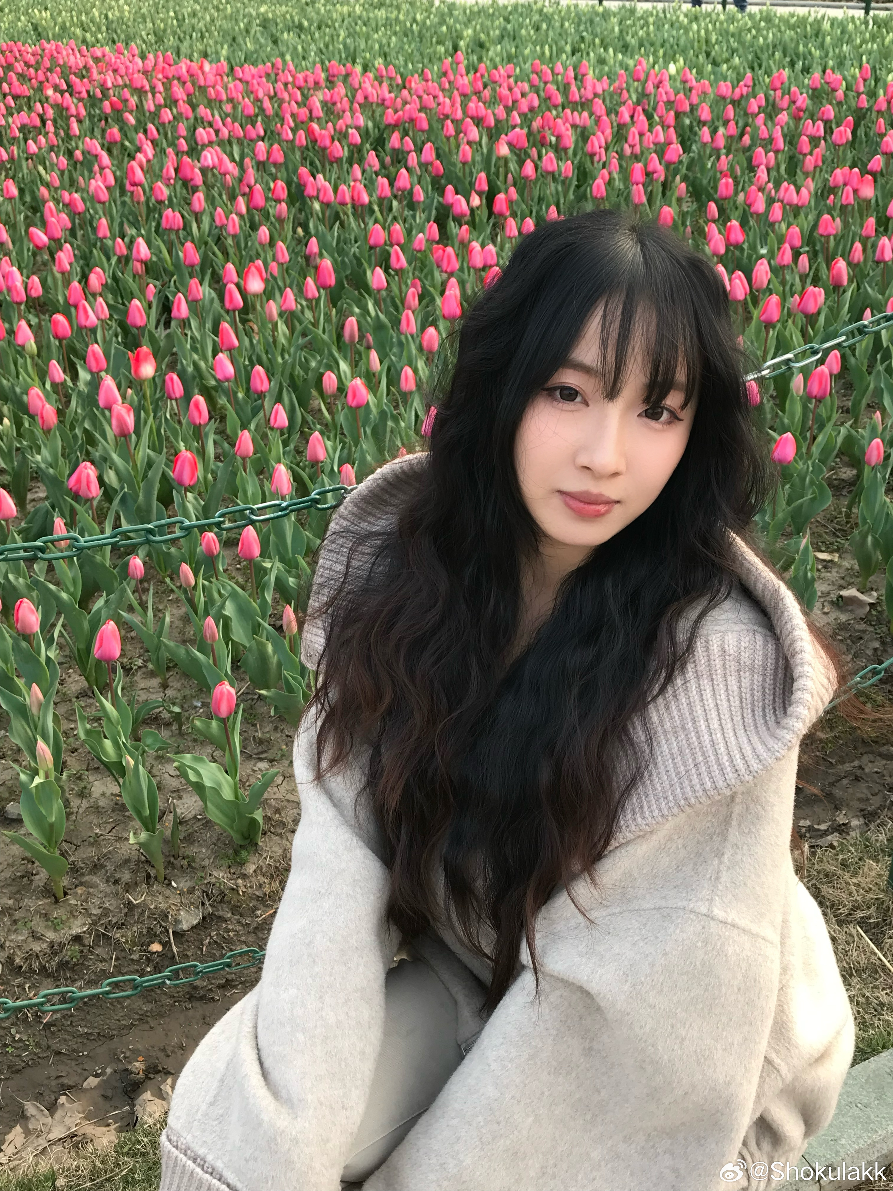 美妙的公园 上海·大宁公园