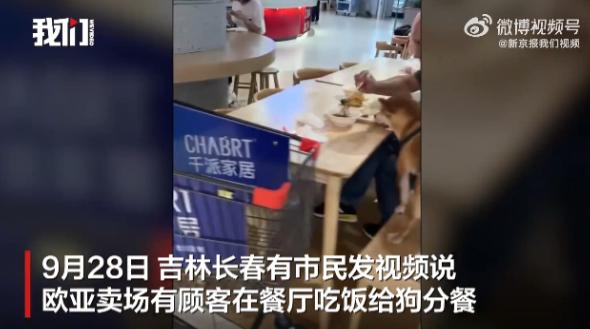 必须严惩！9月28日，吉林长春，一老人在餐厅吃饭时，竟然将狗带了进去，而且还让狗